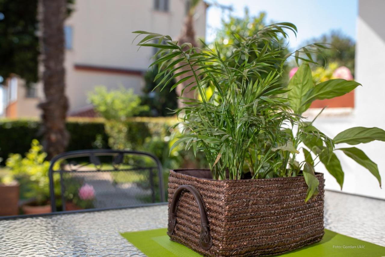 Apartman Luka Rovinj